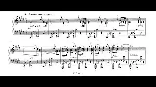 Schubert - Sonata in B-flat major, D.960 - Andante sostenuto - Cyprien Katsaris Piano
