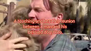 A TOUCHING REUNION BETWEEN A MAN AND HIS DOG