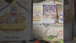 111 portal- Golden threads of creation are being interwoven into you! Messages and card reading!