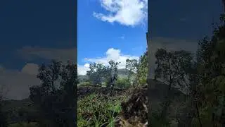 levantando surcos. &hearts;️ campo #agricultura #tendencia #viral #viralvideo #campo
