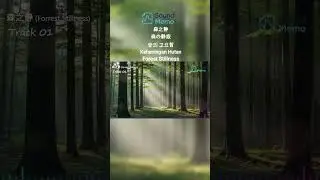 🌿 Forest Stillness (森之静) | Deep Relaxation & Sleep New Age Music (10-Track Instrumental Album)