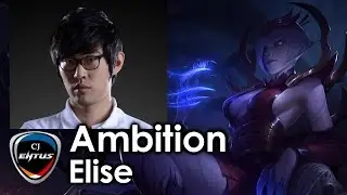 Ambition picks Elise