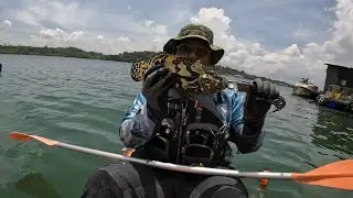 Hybrid but not cars! - #Ep03 | Kayak Fishing Singapore