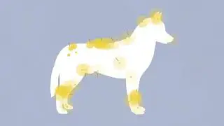 Acupuncture can increase your pet&rsquo;s quality of life &ndash; find out how