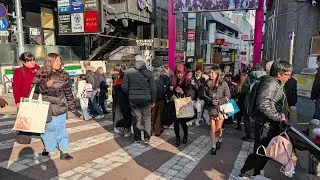 【高画質FHDお散歩ライブカメラ】原宿　竹下通り　表参道　散歩　Harajuku Takeshita Street Omotesando walking【live camera】2026/02/01