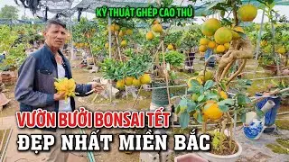 ĐỘT NHẬP VƯỜN CÂY CẢNH BONSAI ĐẸP NHẤT MIỀN BẮC, BÁC CHỦ VƯỜN DÀNH CẢ ĐỜI TẠO MẪU CÂY CÓ 102 CỰC ĐẸP