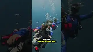 Would you become and adaptive dive buddy?