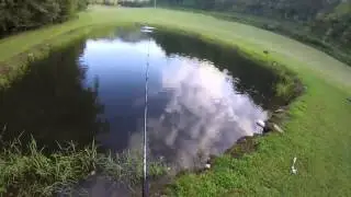 Mountain Pond Fishing!