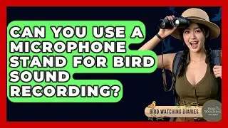 Can You Use A Microphone Stand For Bird Sound Recording? - Bird Watching Diaries