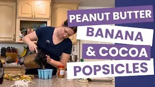 4-Ingredient Blender Popsicles, Chocolate PB Banana, No Ice Cream Needed