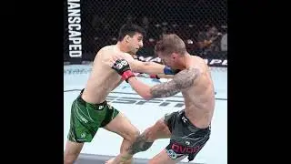 Stephen Erceg vence a David Dvorak  por decisi&oacute;n un&aacute;nime #UFC289