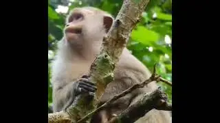 embracing mother's chest