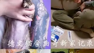 Xxin德文猫舍|曲奇新家记录 我美丽的女孩回家记录姥姥的任务结束妈妈一定会超级爱你未来新家我的孩子一定会很幸福#我镜头下的小猫 #德文猫舍 #德文卷毛猫繁育人 #玳瑁色德文 #我的小猫...