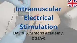 Intramuscular Electric Stimulation