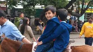 Horse Ride - Darjeeling Mall