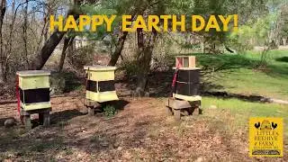Vendor Video 6: Little Beehive Farm