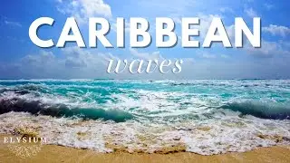 4K Caribbean Waves: Pure Ocean Sounds 5 Hours Relaxing Beach Ambience (No Music)