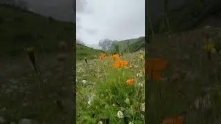 POV: You are Hiking through Heaven on Earth.. #hiking #nature #naturelovers #trailviews #mountains