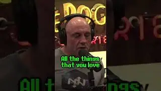 Joe Rogan, How Wonderful Technology Can Be For Human Life?