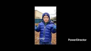 The ELC children have ended the year by learning BSL signs connected to Christmas and their nativity