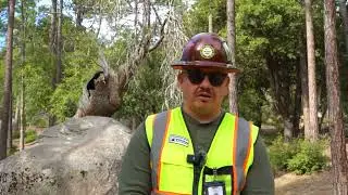 Fuel Reduction and Wildfire Prevention at Idyllwild Regional Park and Valley Hi Oak Preserve.