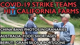 COVID 19 Strike Teams Shut Down Farms -  Beirut, Aus, China Shortages - Ice Age Farmer
