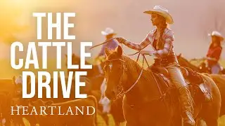 Heartland: The Cattle Drive