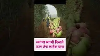 શ્રી સ્વામી સમર્થ💖🌍🌺#swamisamarth #swami #marathi #trending #viral #shorts #motivation #devotional