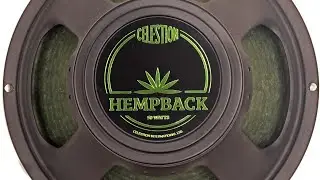 Hempback vs Vintage 30 vs EVH Shootout!