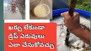 ఎరువు ద్రావణం  మరియు వేప గింజల కాషాయం. |. Natural fertizers 