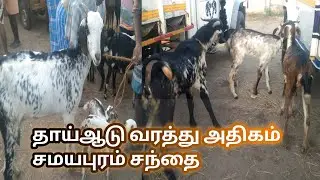 இன்றைய சந்தை தகவல் | சமயபுரம்!#shorts