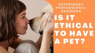 Veterinary Professional Answers: Is It Ethical to Have A Pet?  (Pet Peeves Podcast Q&A#3)
