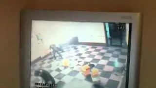 Koko falls while mopping! HILARIOUS!!