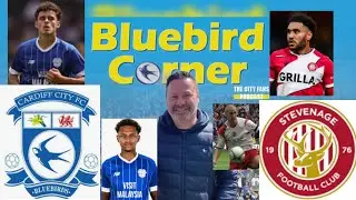 Cardiff City v Stevenage match preview