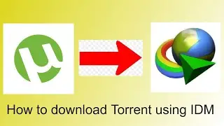 How to download torrent using Internet Download Manager (IDM) Hindi