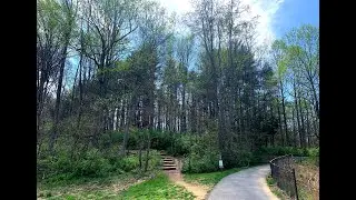 Virtual Treadmill Walk with Music-Rock Creek Regional Park｜沉浸式徒步｜户外健身