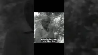 Positive action results in chaos | Krishnamurti
