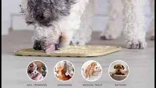 Lick Mat Hack: Stop Dog Anxiety in 60 Seconds (Game Changer) - Honest Pet Product Reviews & Tests