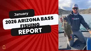 January 2026 Arizona Bass Fishing Report