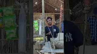 Baghmora Picnic Spot❤️🥳।।shorts❤️।। #assamesevlogs #assam #picnicspot