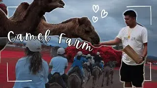 WE VISITED A CAMEL FARM | OUR FIRST CAMEL RIDE EXPERIENCE | Khordungpa Kota