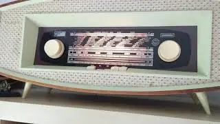 Diora Ramona 62132