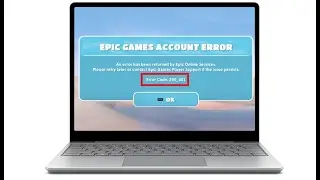 How To Fix Fall Guys Error Code 200_001 Epic Game Account Error