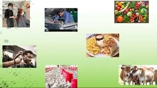 Easily get clients for your Zim business.