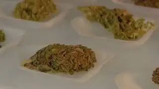 EBS TV | DM3250 Microwave Drying Oven | Cannabis Drying & Testing