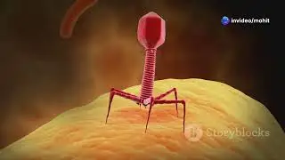 Can Viruses Magically Appear- Origin of virus? #virus #dna #rna #diseases #science #viralvideo