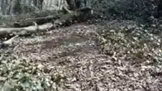 Flying 'Quad-Copter'.