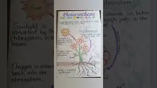 💯🛑🏥Photosynthesis in higher plants #botany #photosynthesis #rubisco #phytochrome #phytohormones🩺📚