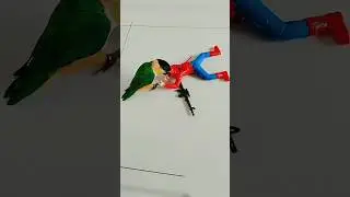 Супербитва! Попугай против человека-паука 😂🦜 Parrot VS Spiderman #funny #shorts #смешно #birds #cute