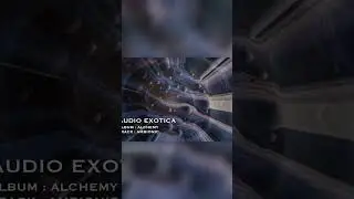 Discover the MAGIC of AUDIO EXOTICA Patterns!